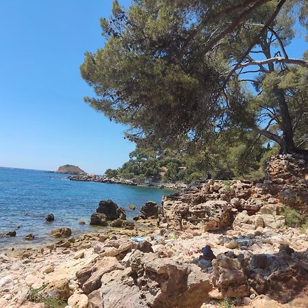 Charmant Studio 2A4 Pers Avec Jardin Et Place De Parking Situe A 5 Min A Pied De La Mer Bandol Eksteriør billede